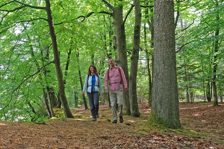 Zwei Wanderer gehen durch den Wald © Touristikverband LK ROW